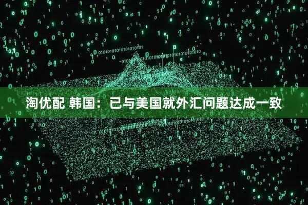 淘优配 韩国：已与美国就外汇问题达成一致