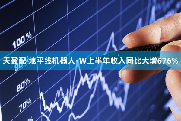 天盈配 地平线机器人-W上半年收入同比大增676%