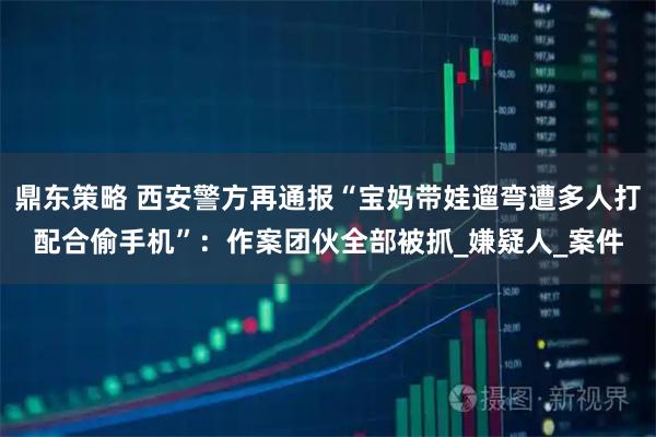 鼎东策略 西安警方再通报“宝妈带娃遛弯遭多人打配合偷手机”：作案团伙全部被抓_嫌疑人_案件